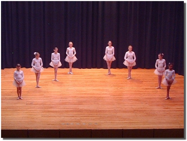 Walzer -Wiener Blut-