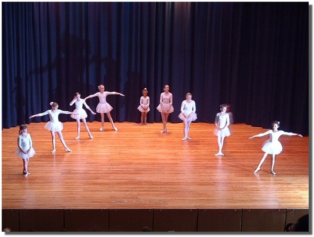 Walzer -Wiener Blut-