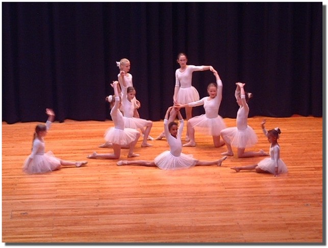 Walzer -Wiener Blut-