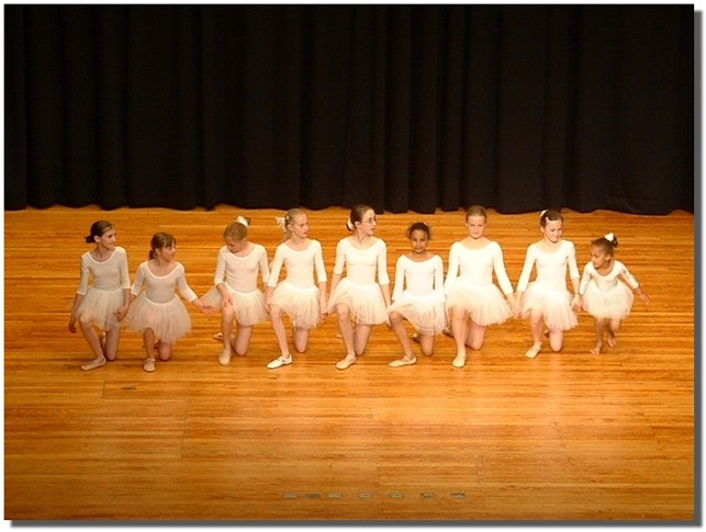 Walzer -Wiener Blut-